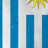 Uraguay Flag Distressed iPhone XS Skin
